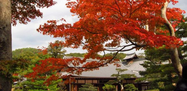 Величието на Япония - септември 2026