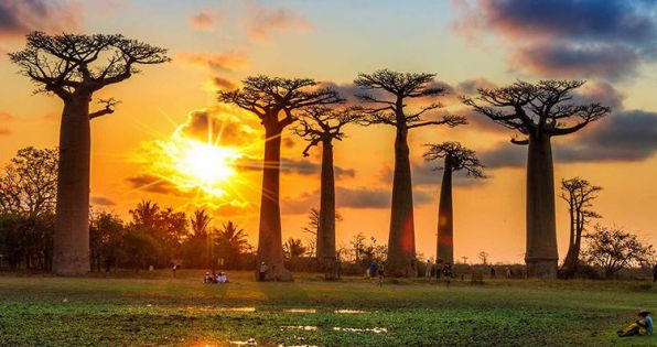 Мадагаскар и Мавриций - Едно вълнуващо пътешествие до двата екзотични острова през от София - 2026