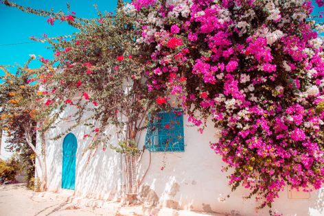 Ранни записвания Лято 2026! Почивка на о.Джерба, Тунис със самолет от София - 7 нощувки!